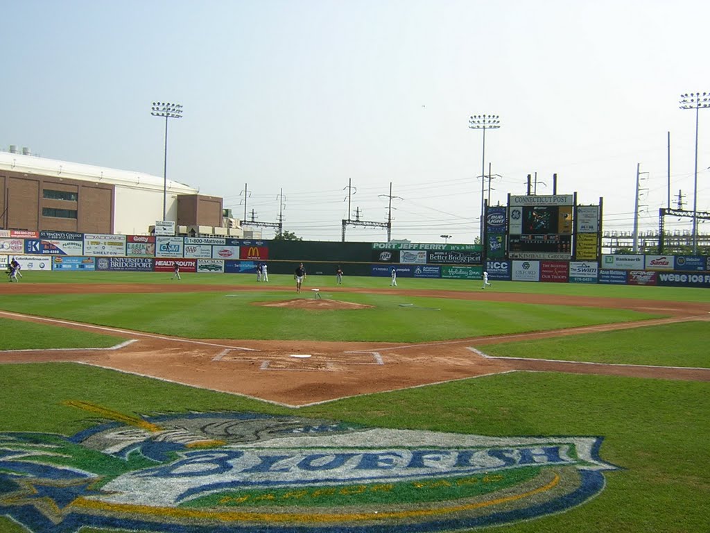Bridgeport Bluefish - Ballpark at Harbor Yard