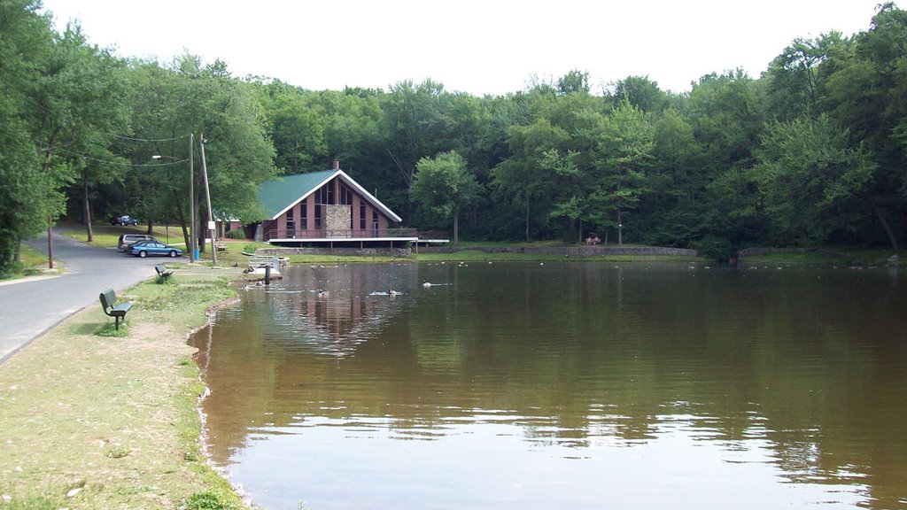 Page Park - Pond