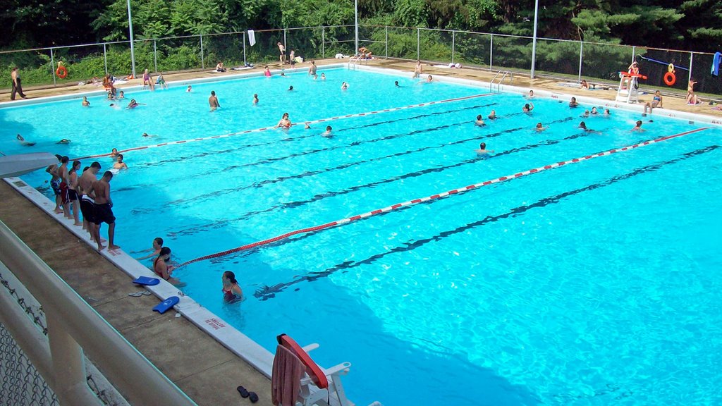 Page Park - Pool