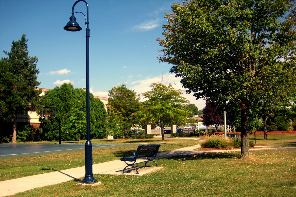 Bristol CT - Bracket Park