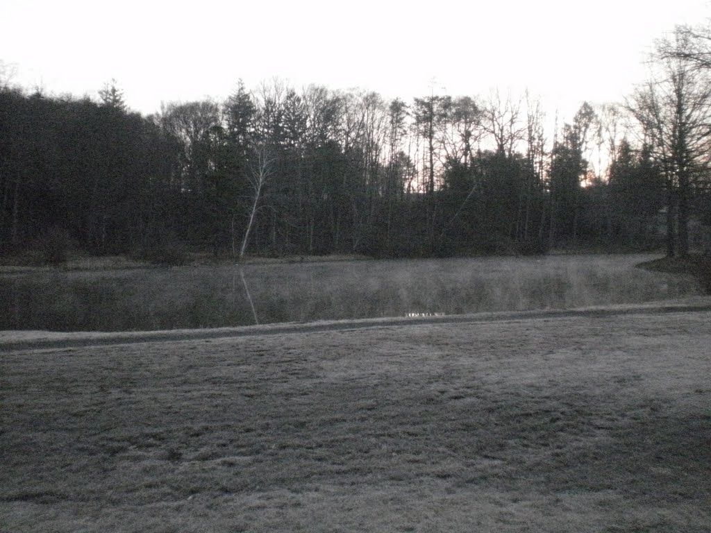 rockwell fishing lagoon