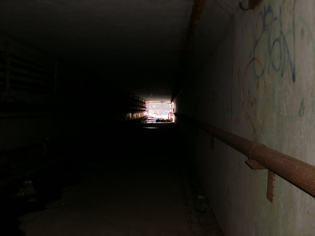 tunnel under pump house