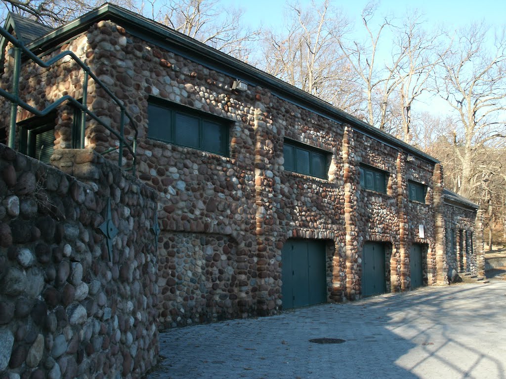 Perspectives of Stone