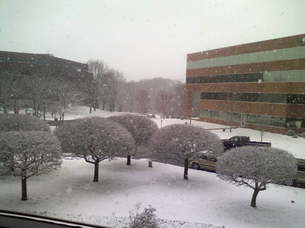 DAI Building 2nd Floor Winter