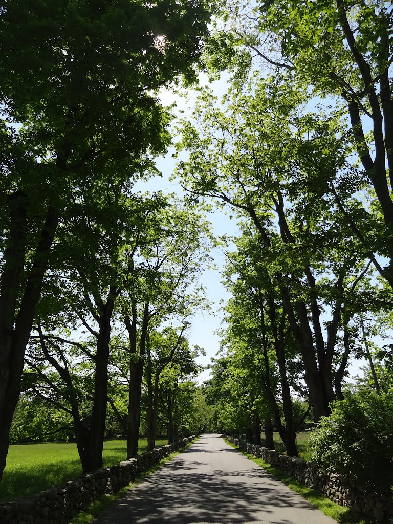 Sabine Farm Road