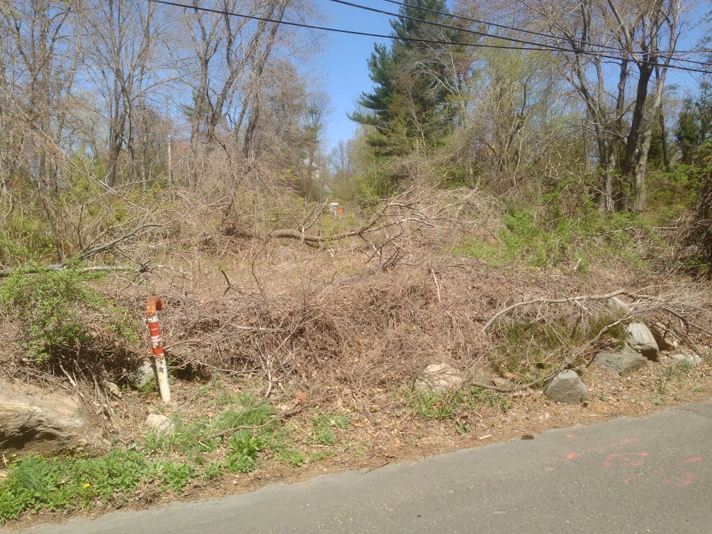 Tennessee Gas Pipeline