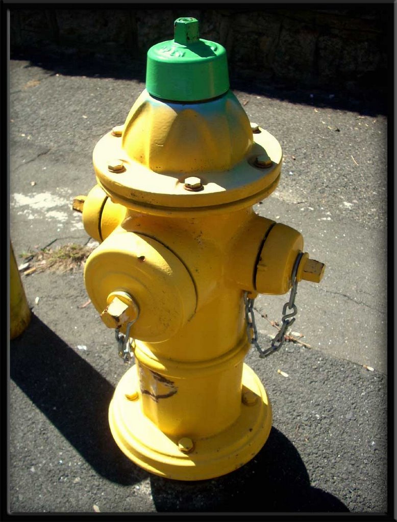 Fire Hydrant