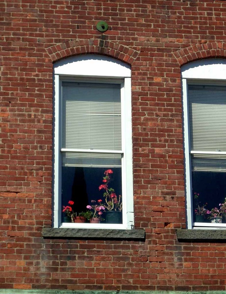 Window
