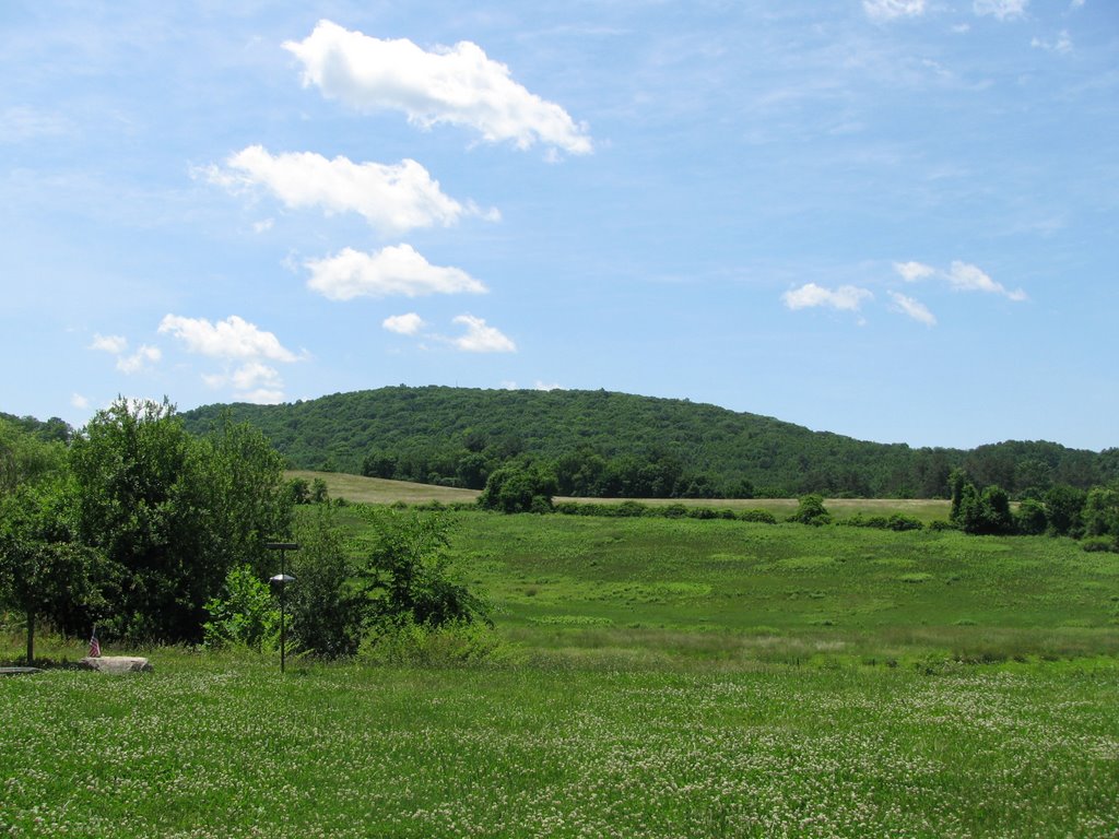 Tarrywille Park