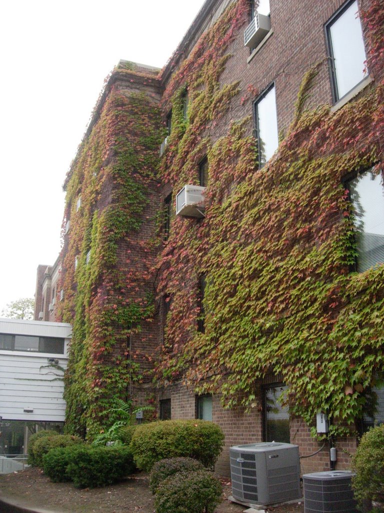 moss on hospital