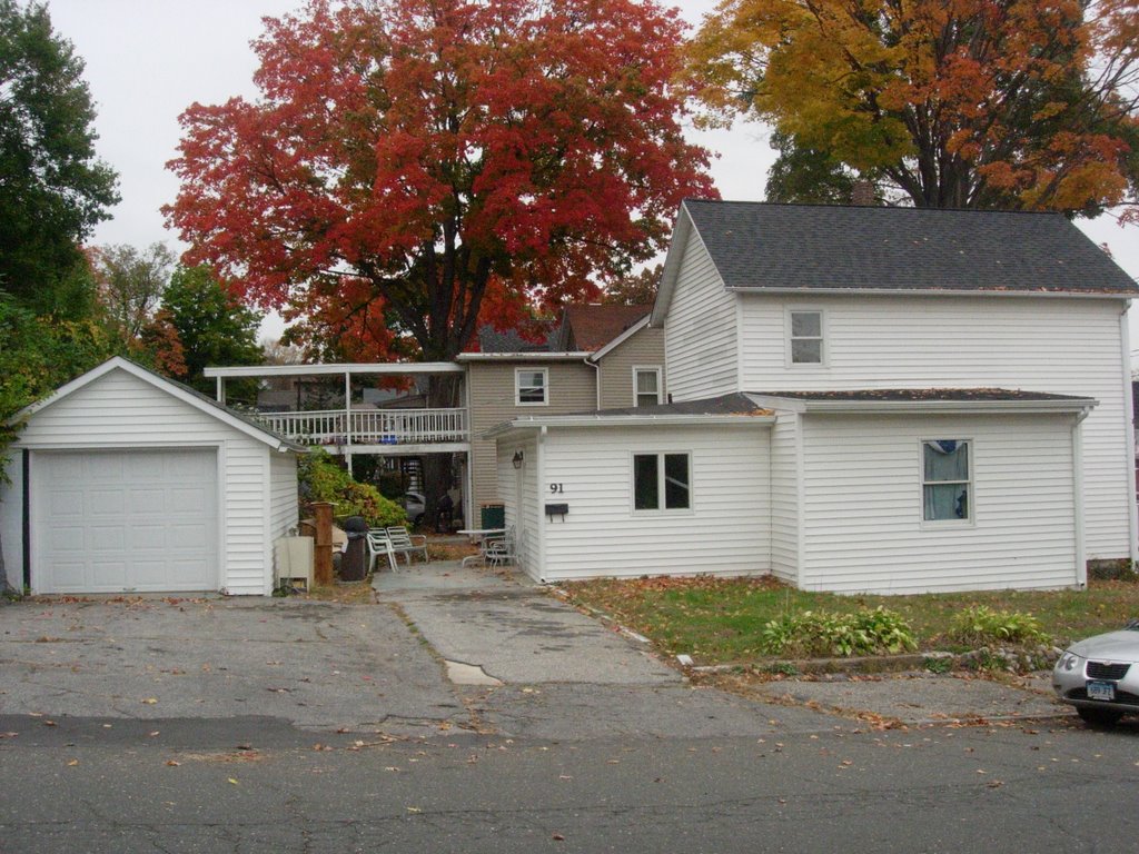 tunnel of back yards