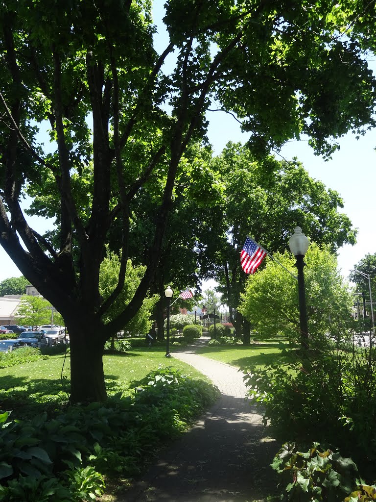 Elmwood Park