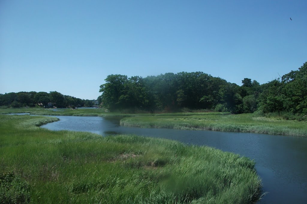 East Haven Marsh W.A., New Haven, CT (07-2010)