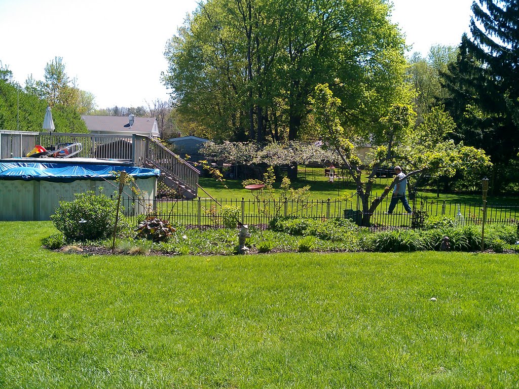 Sullivans back yard