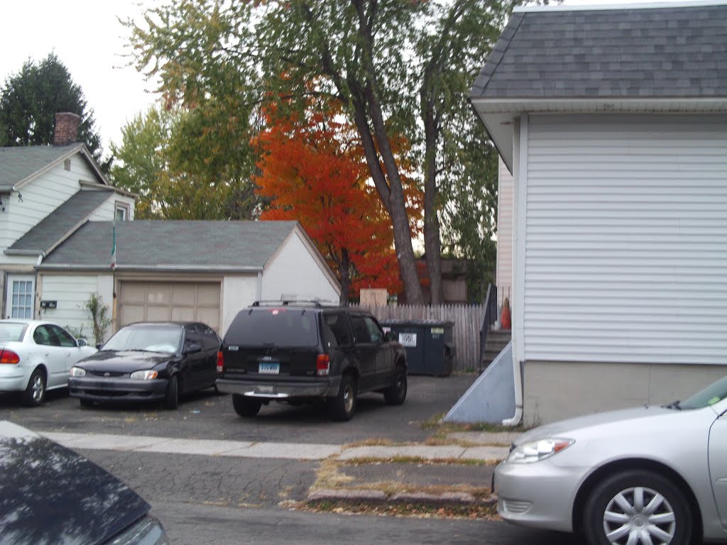 Fall color (6)