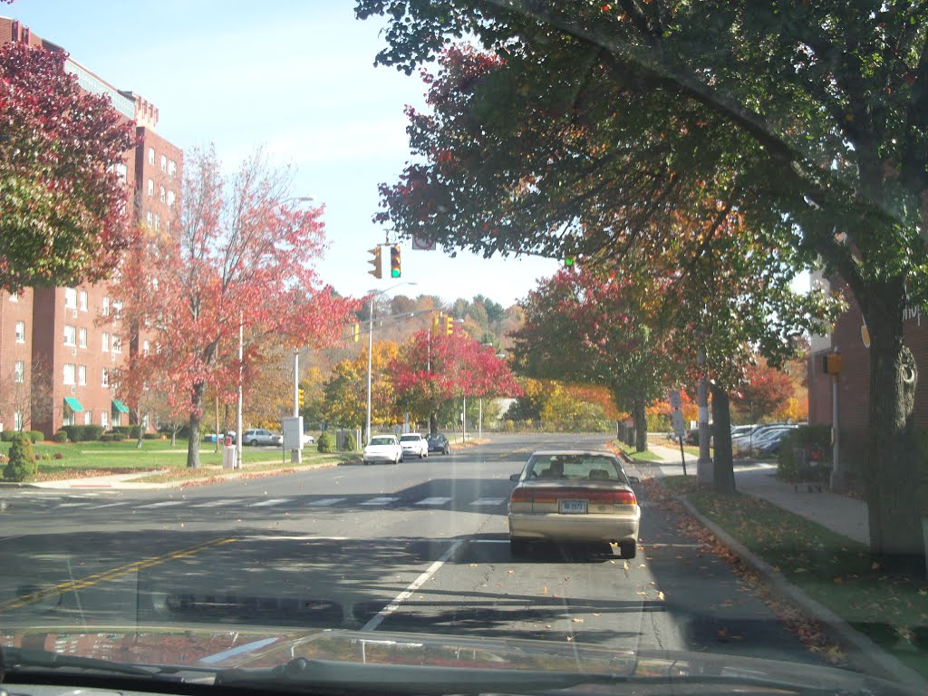 Fall in the Center
