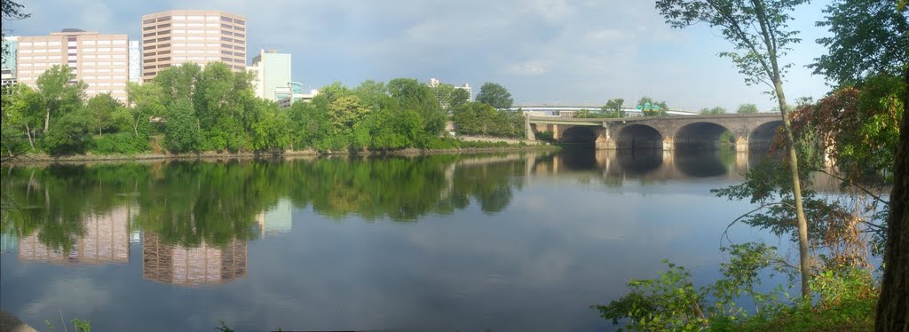 Bulkeley Bridge #1