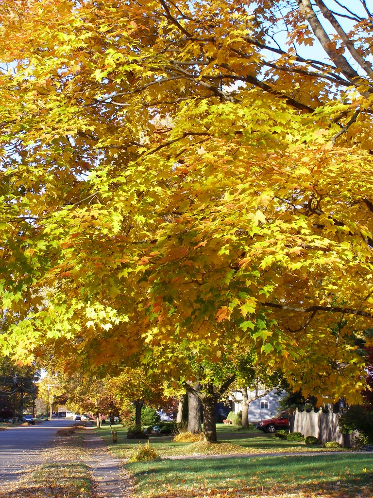 Fall in Manchester