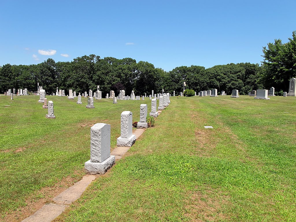 St James Catholic Cemetery - Monuments In A Row
