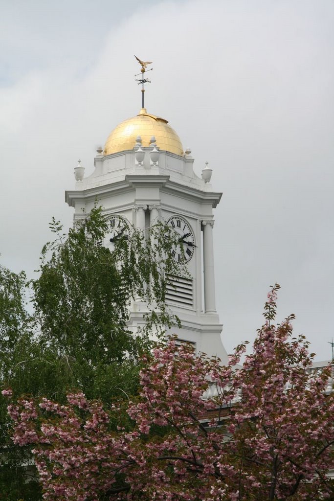 Meriden, City Hall