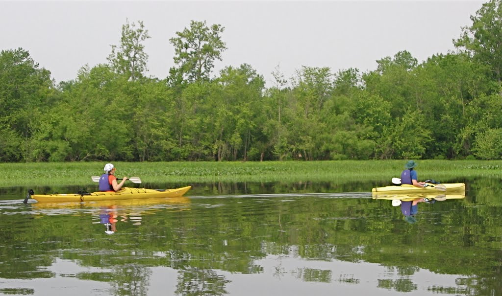 Floating Meadows 3