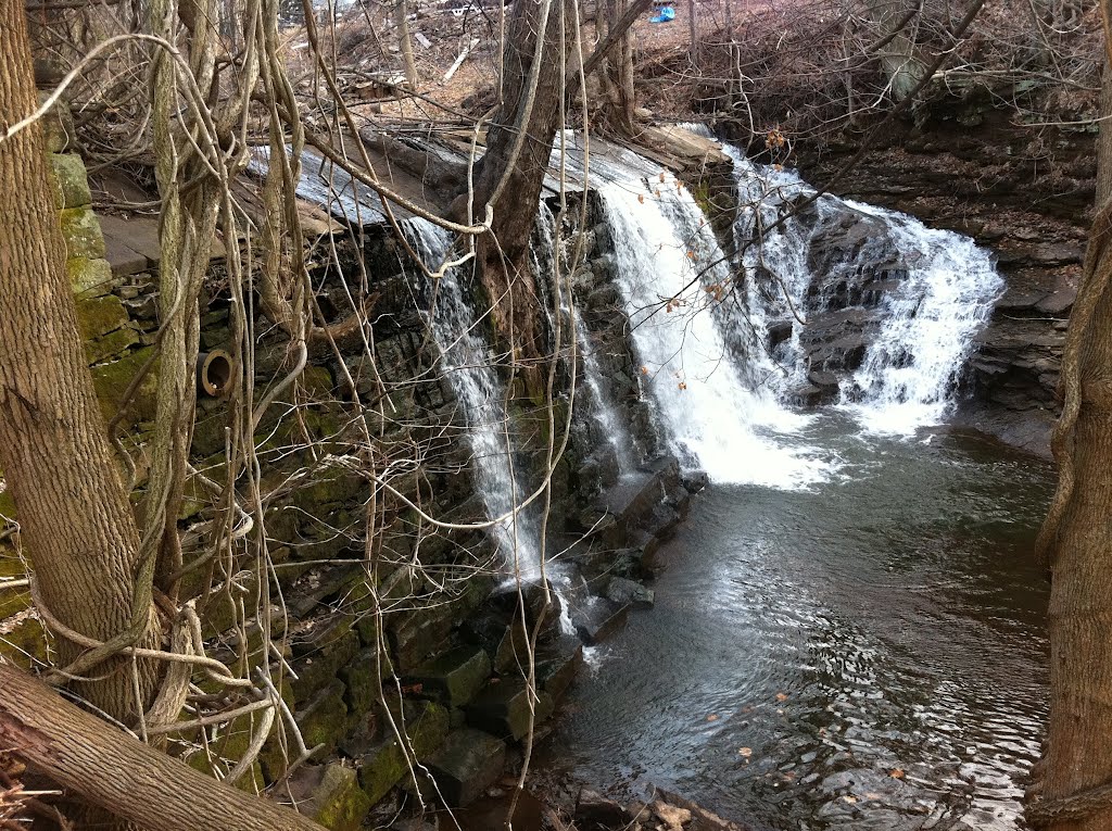 LowerMillPond_Dam