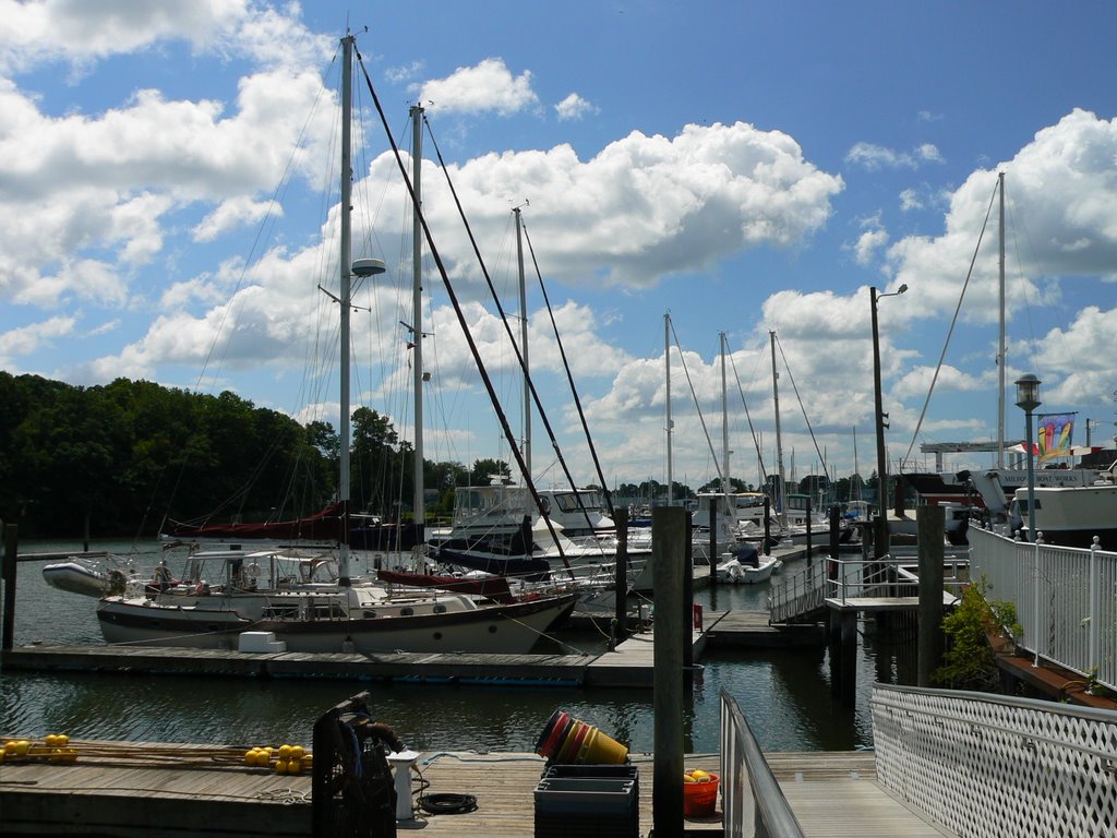 Sailboats in Milford Harbor