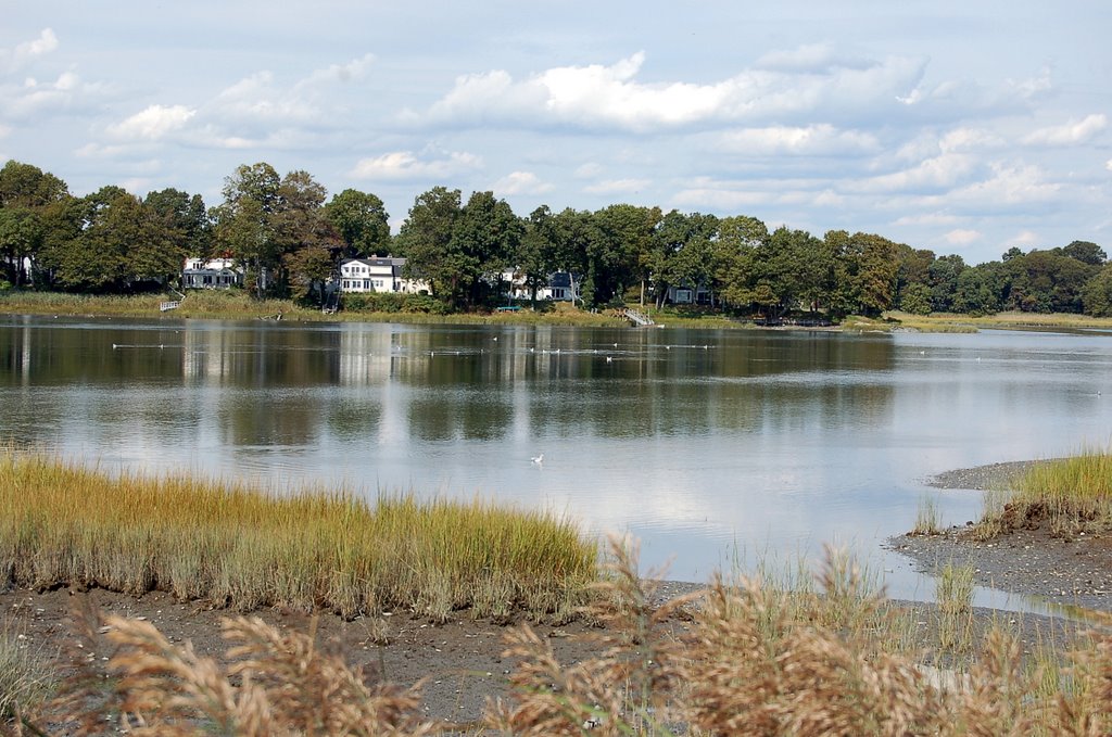Gulf Pond