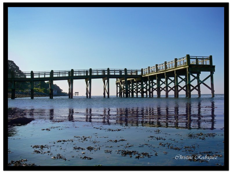 Pier at Gulf Beach