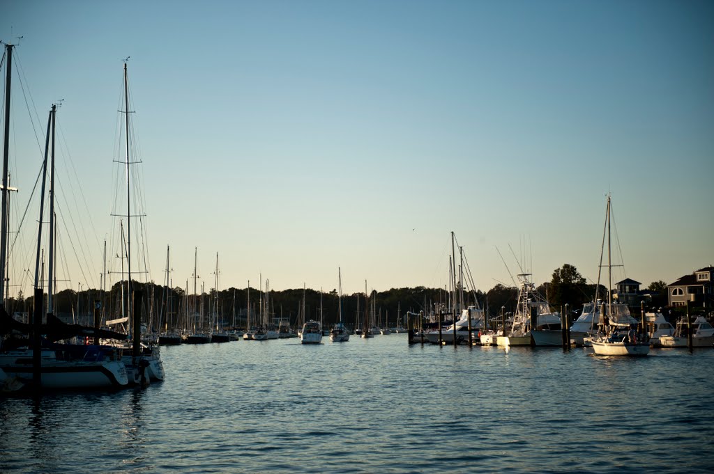 Milford Marina