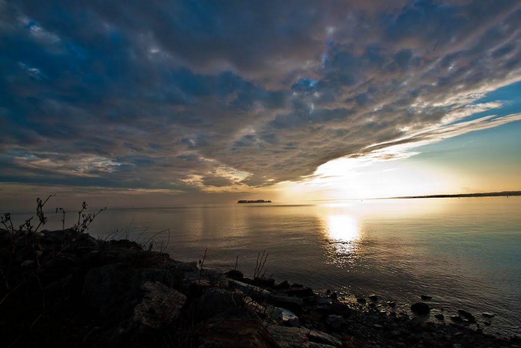 Gulf Beach Dec 2011