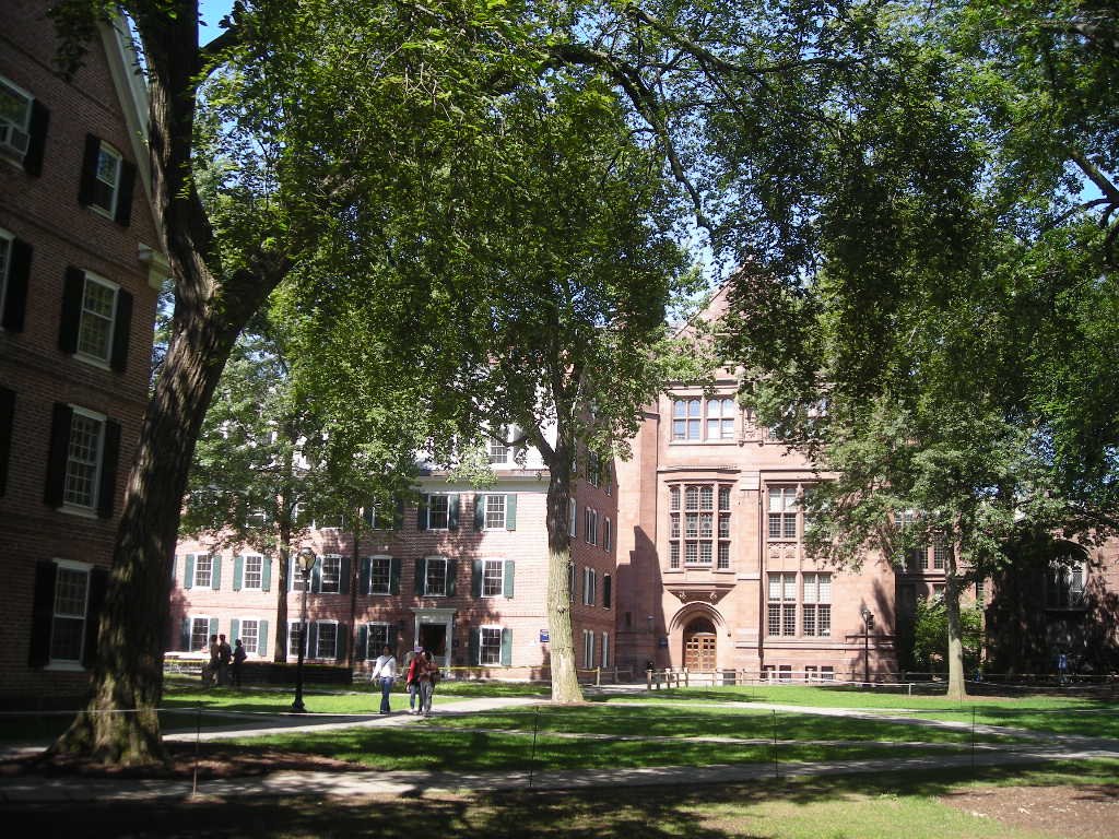 Yale University