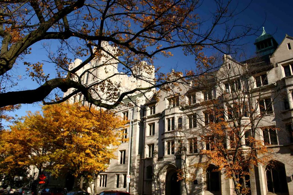 Yale University