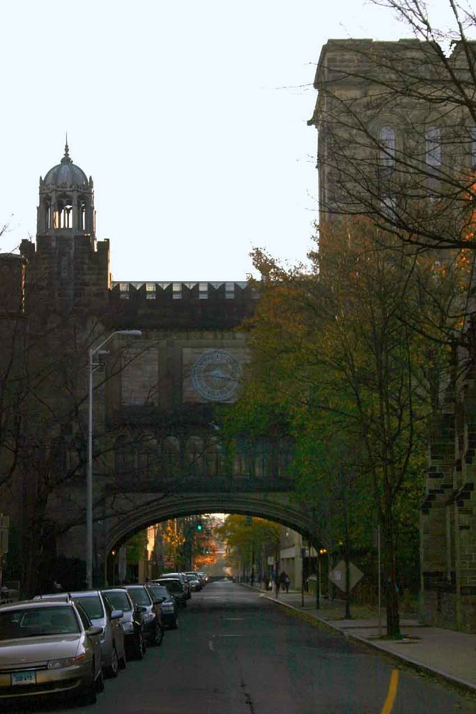 Yale University