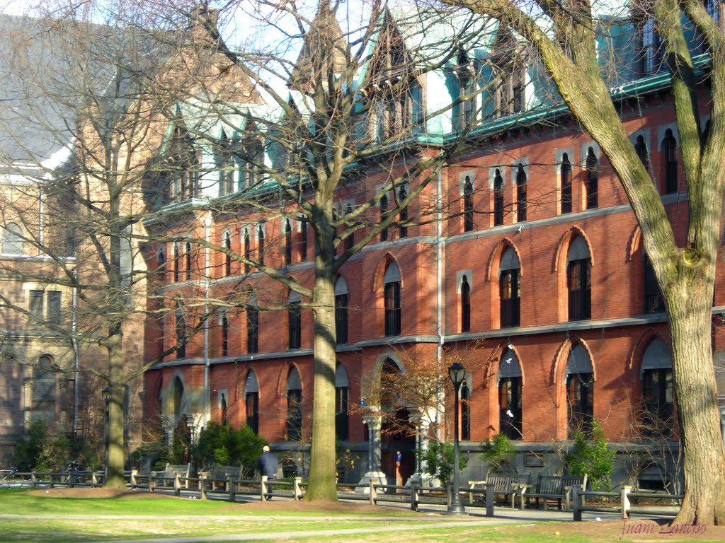 Universidad de Yale- New Haven-Diciembre 2009