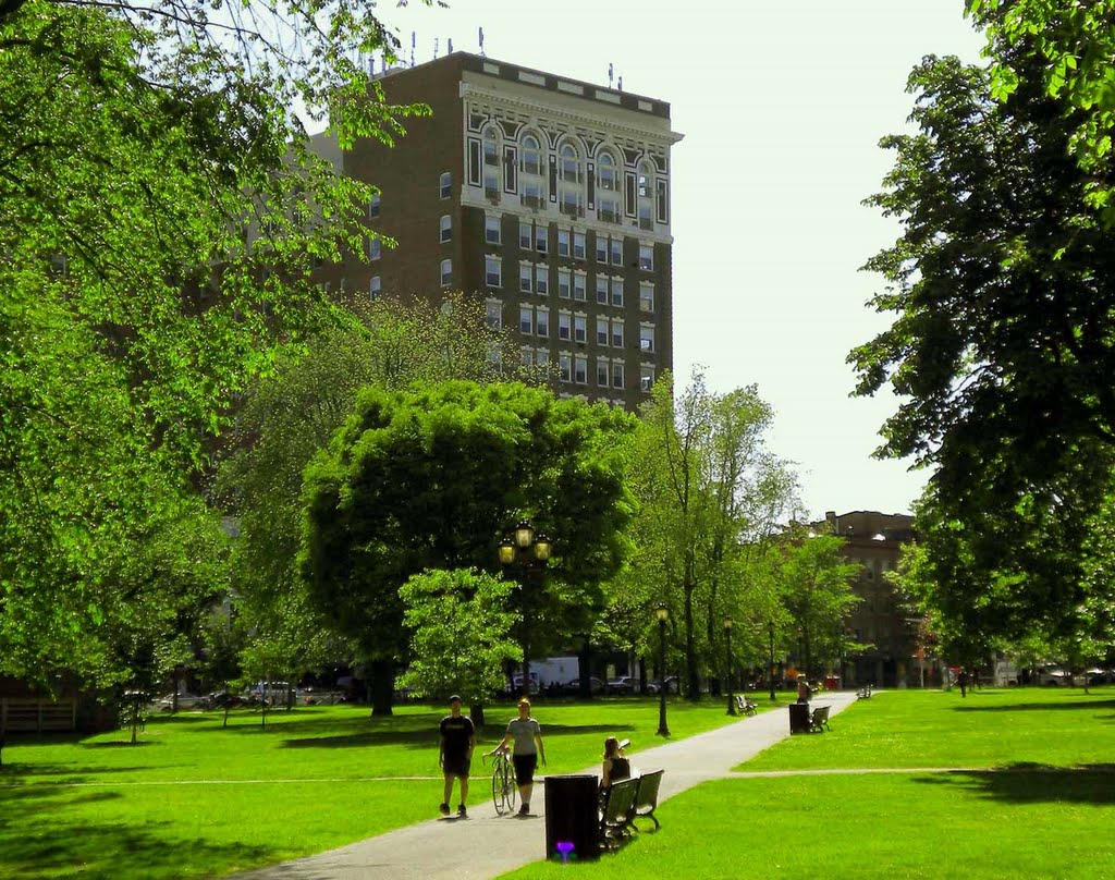 New Haven Green