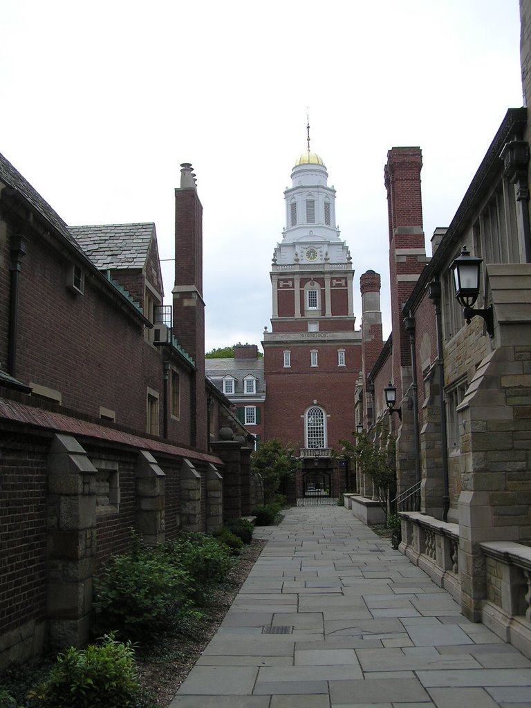 New Haven