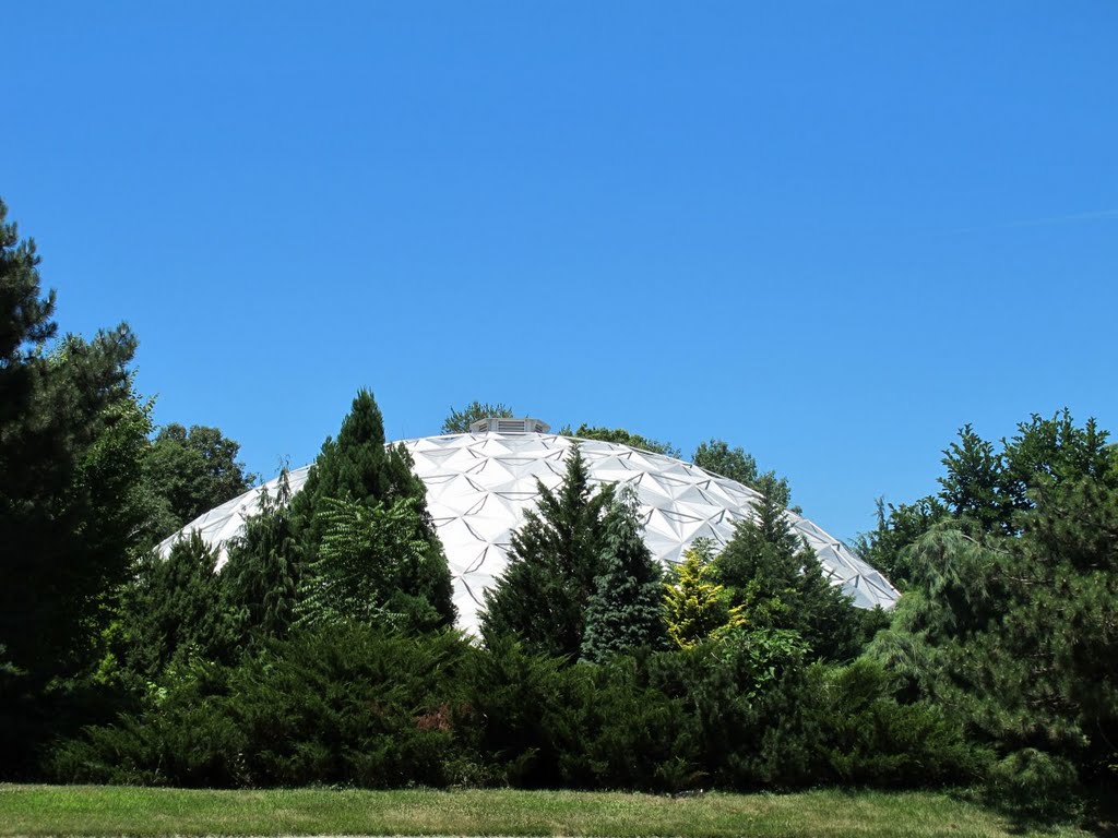 Dinosaur Park