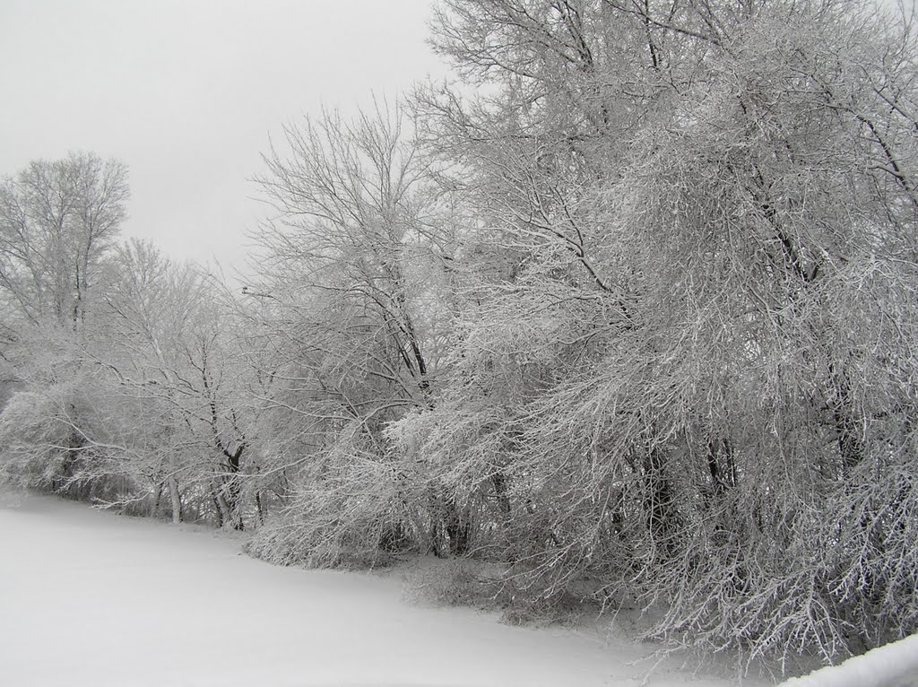 view from carillon dr, winter