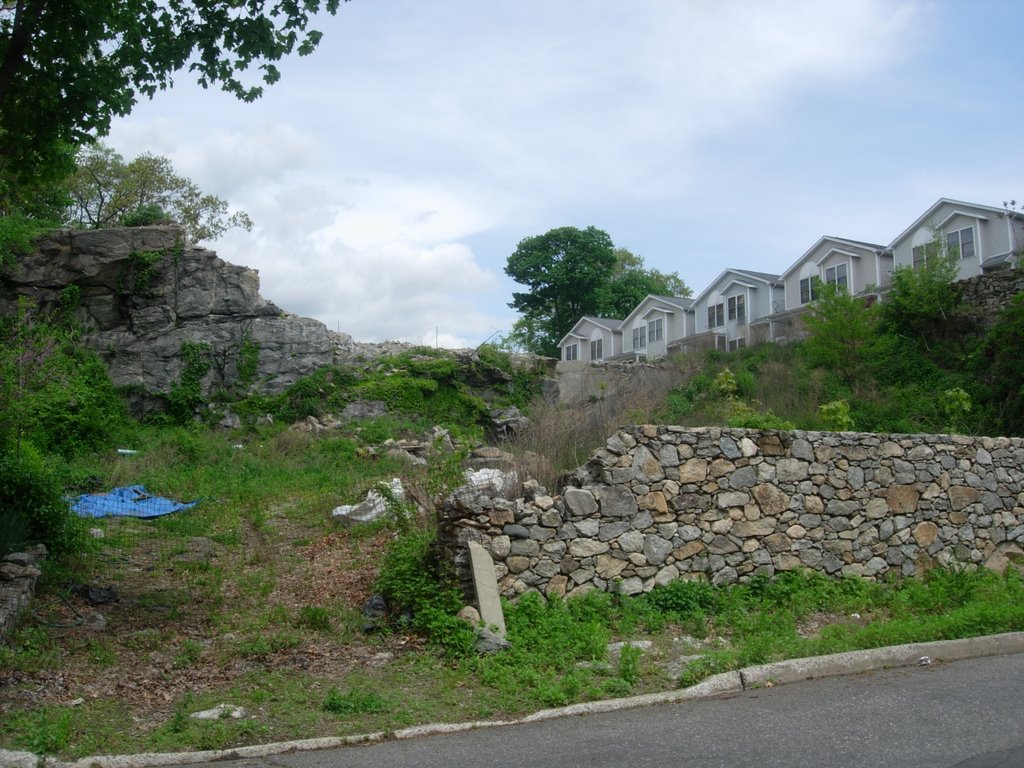 condos behind ruins