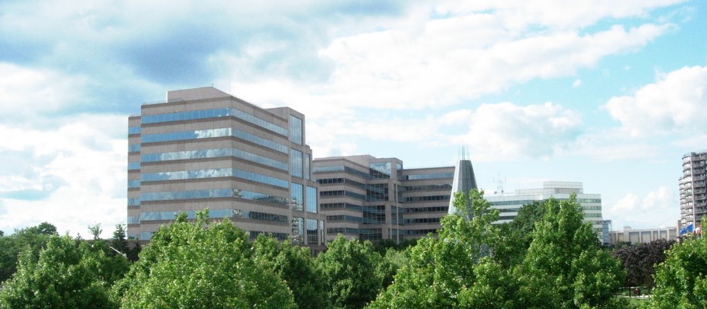 These buildings, as seen from 95