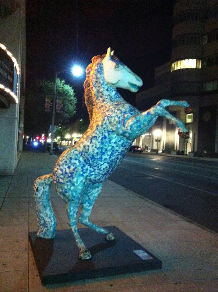 The View of Beautiful & Gorgeous Night in Stamford. CT. U.S.A.