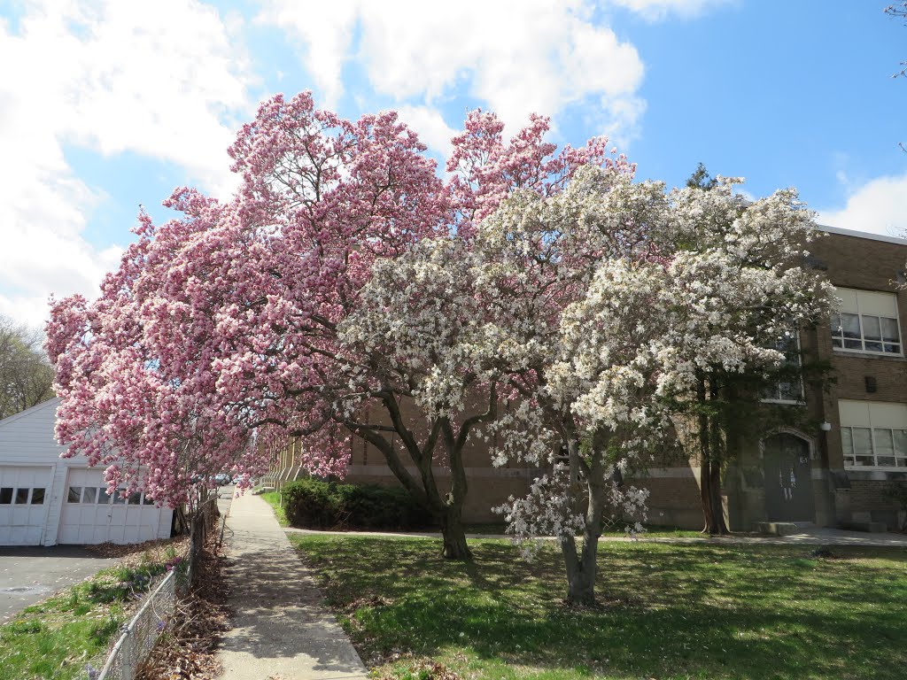 Stratford High School