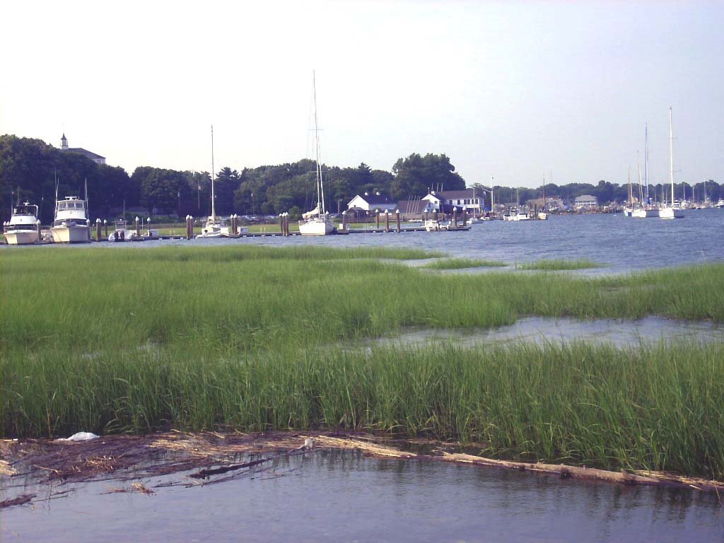 Stratford Harbour