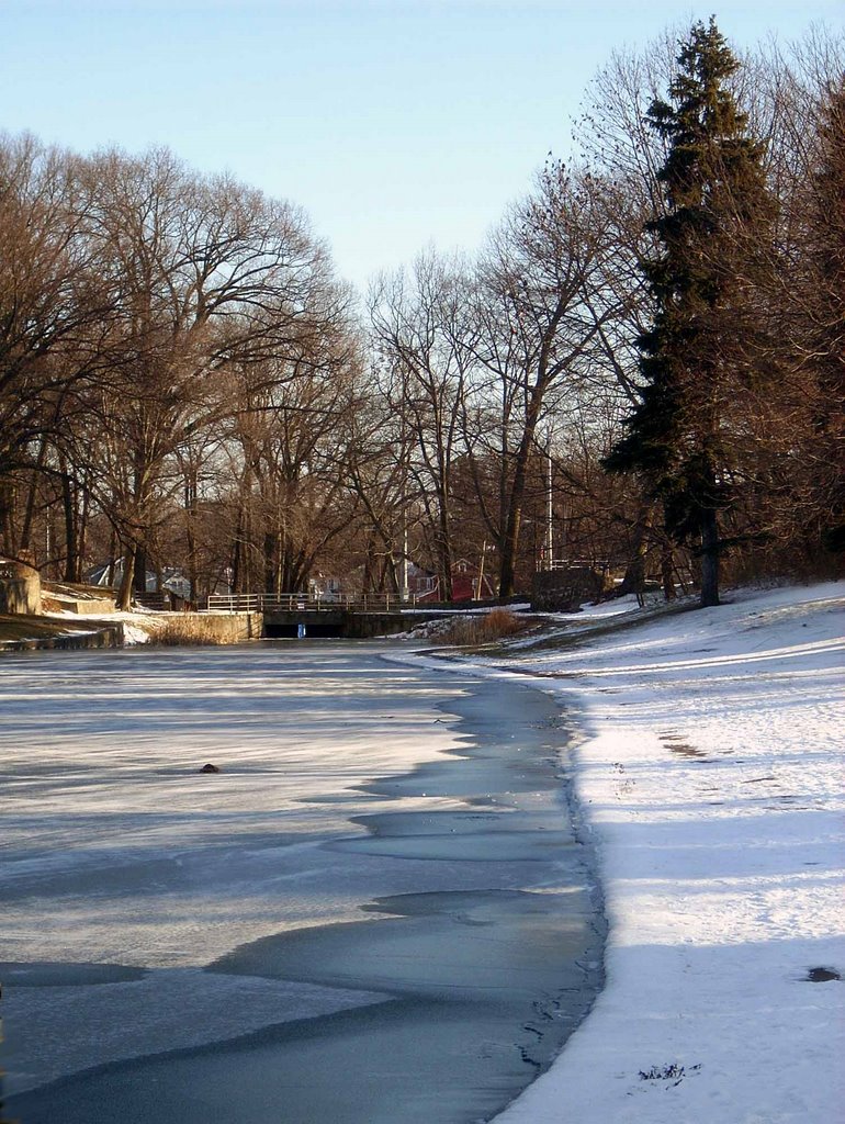 Longbrook Park Pond