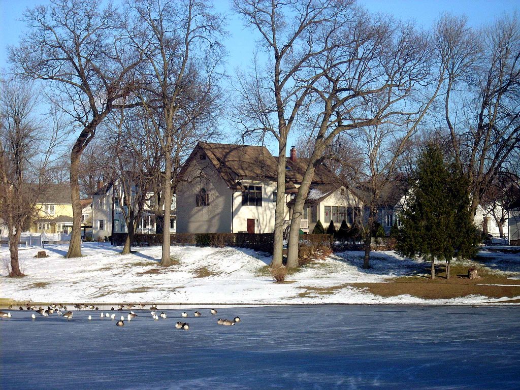 Longbrook Park Pond