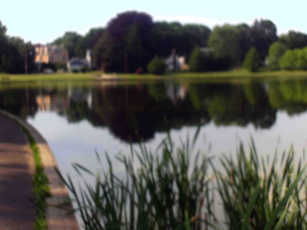 Longbrook Park Pond