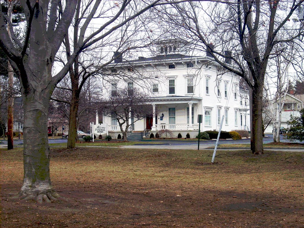 Paradise Green Park