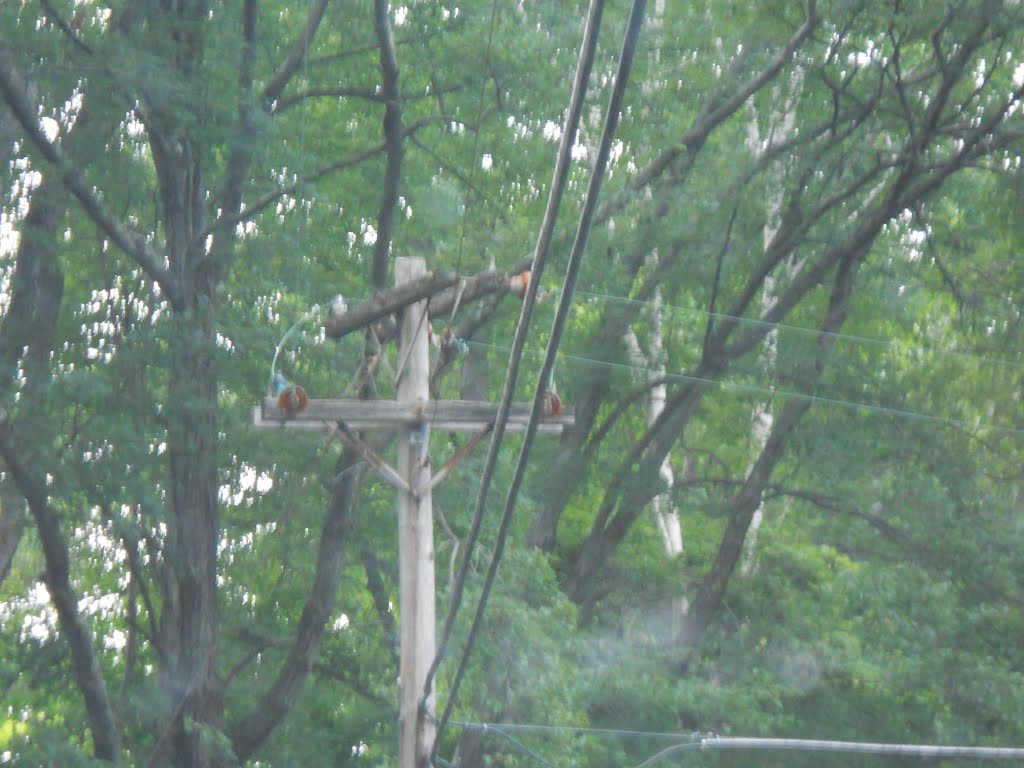 Old CL&P Buckarm Pole