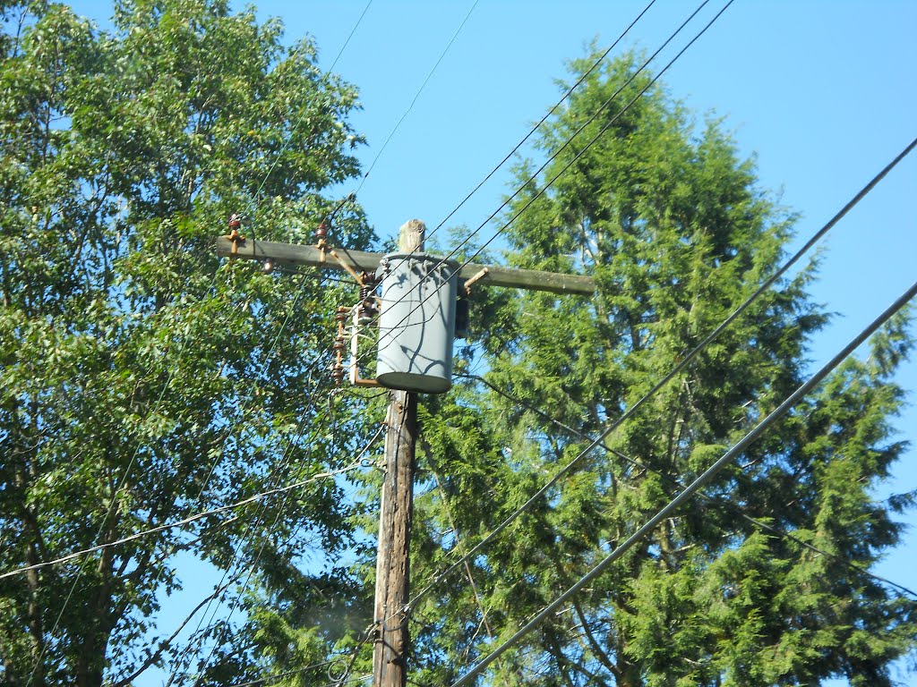 CL&P 4.8kV